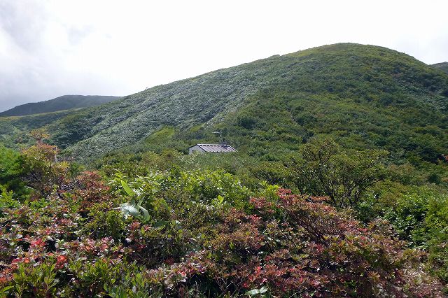 e0137200_0184092.jpg