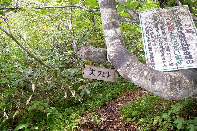 e0137200_23202635.jpg