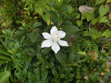 a0203003_19592534.jpg