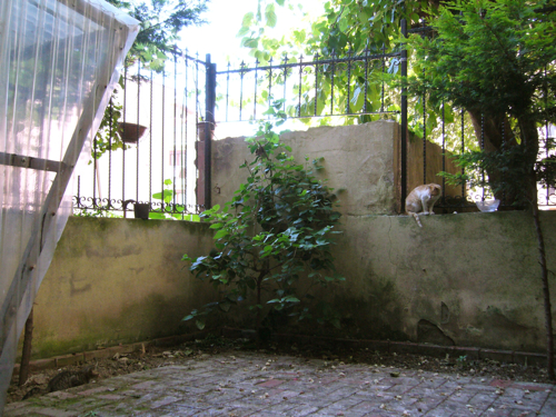 d0162815_1562684.jpg
