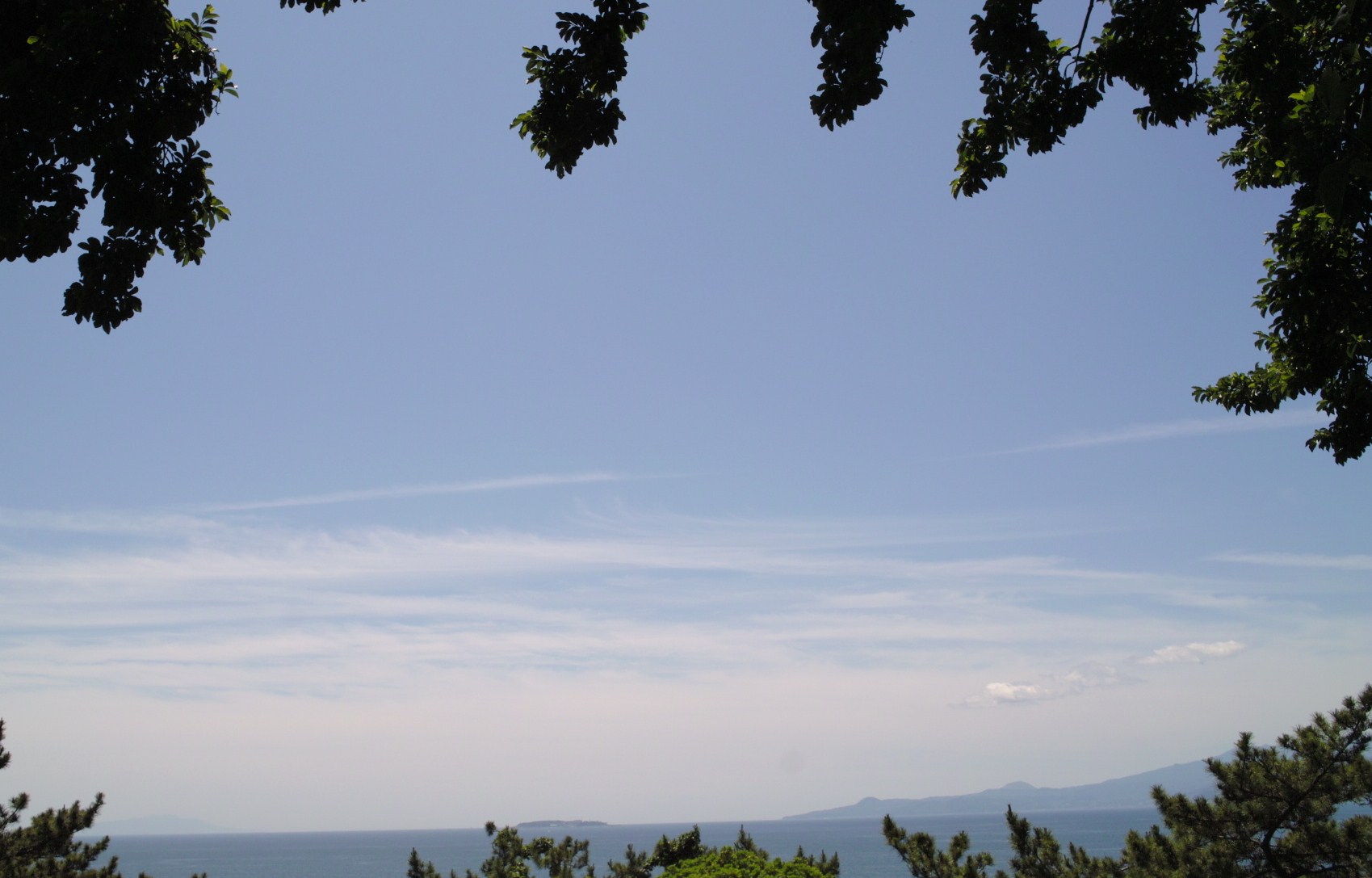 b0285619_1944236.jpg