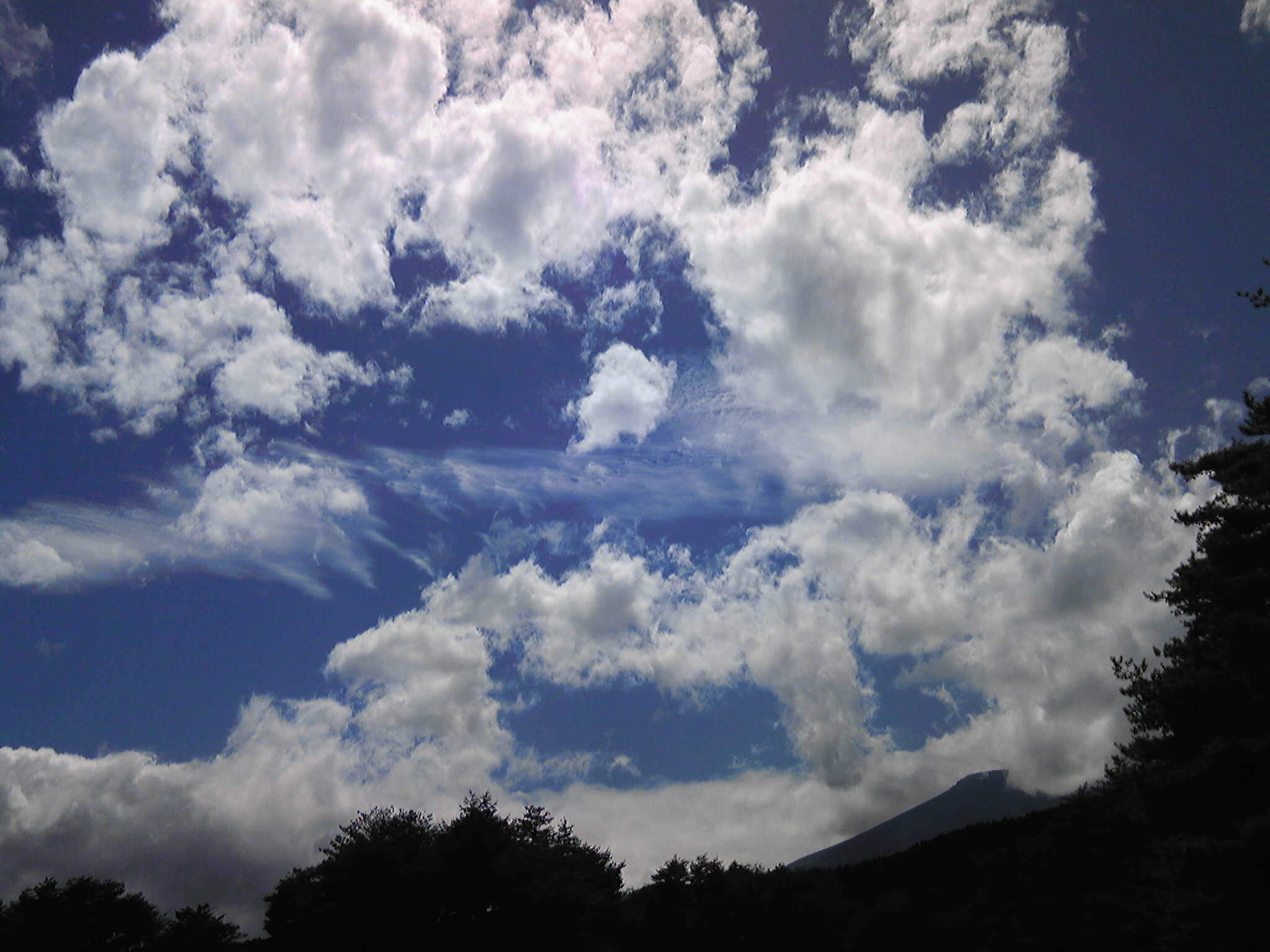 b0285619_19445627.jpg