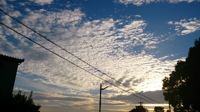 e0071819_16391257.jpg