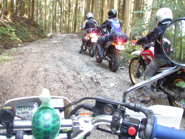 f0248120_21551379.jpg
