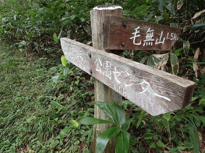 c0064025_1629133.jpg