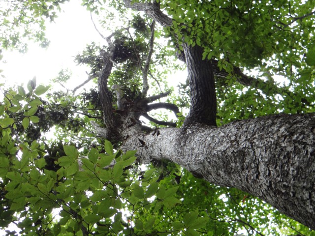e0266825_18152419.jpg