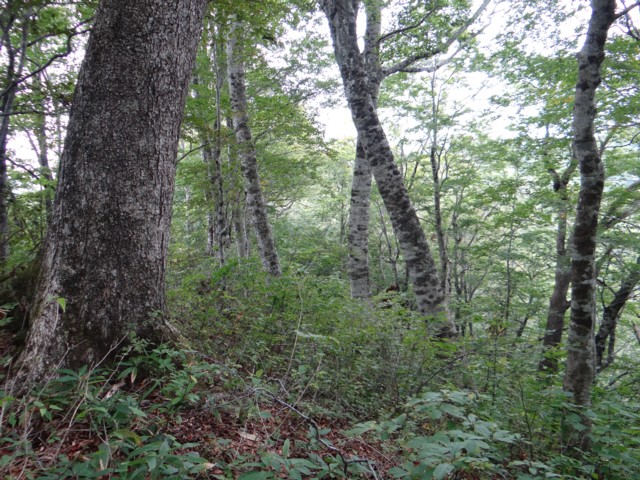 e0266825_18282944.jpg