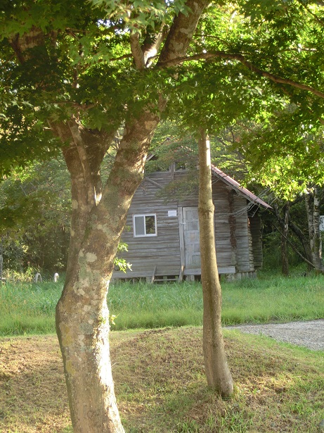 a0143839_019522.jpg