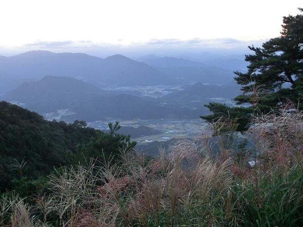 a0143839_0381350.jpg