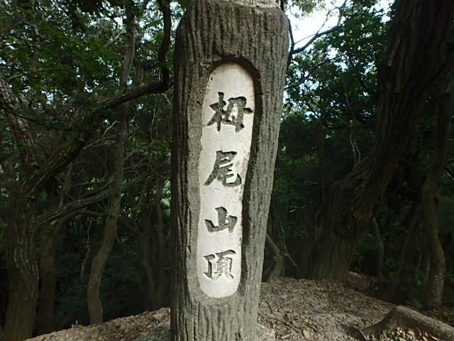 f0334143_21171455.jpg