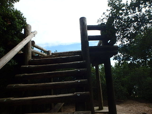 f0334143_21172684.jpg