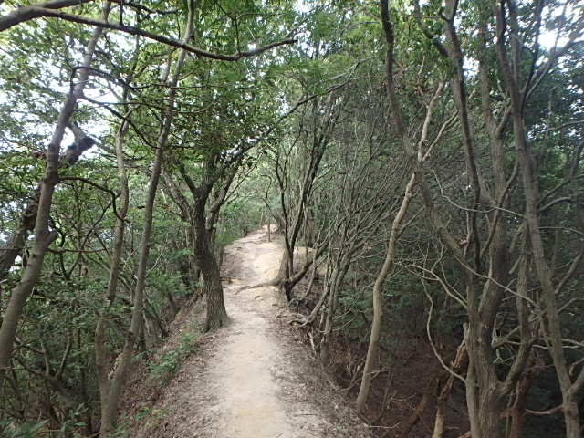 f0334143_21175924.jpg