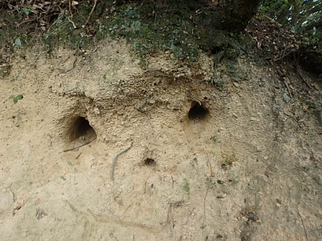 f0334143_21275163.jpg