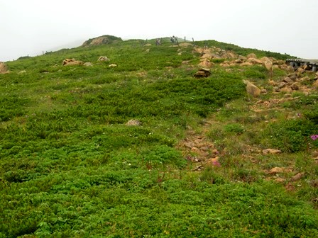 b0117548_1921226.jpg