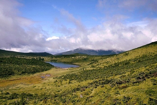 b0122448_20353776.jpg