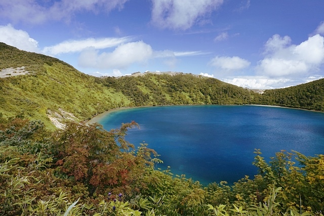 b0122448_21140141.jpg