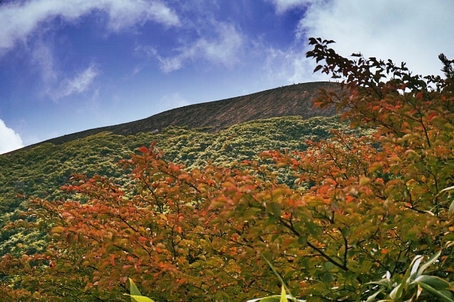 b0122448_21142546.jpg