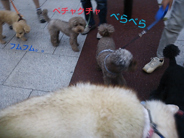 e0121548_2316109.jpg