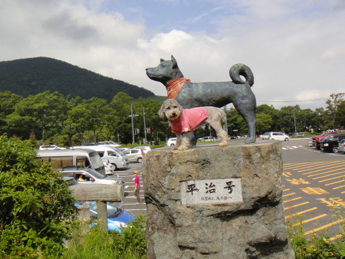 c0179351_20134445.jpg