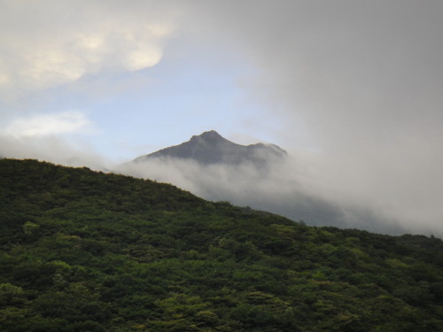 c0179351_2033789.jpg