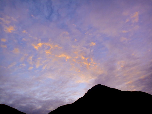 c0179351_204286.jpg