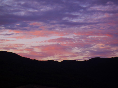 c0179351_2044617.jpg