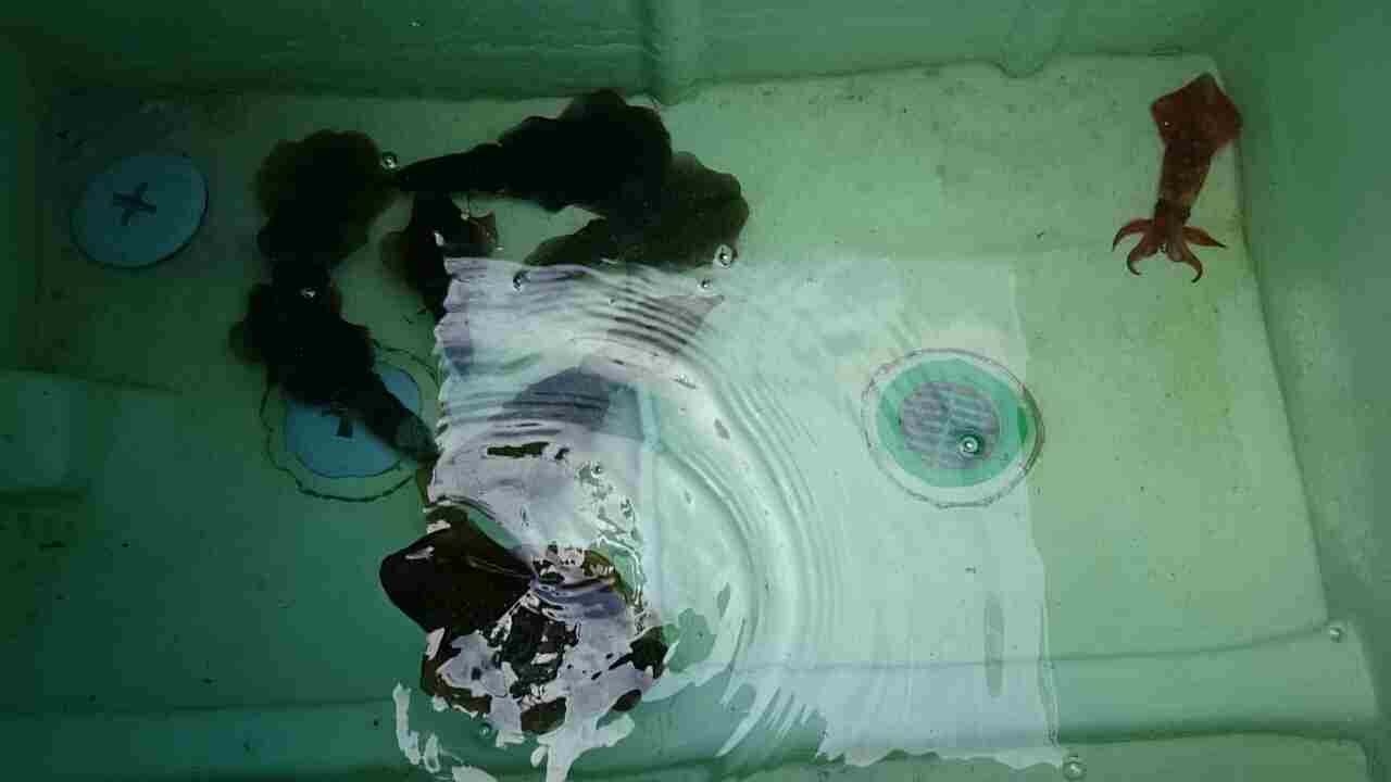 a0248152_18164048.jpg