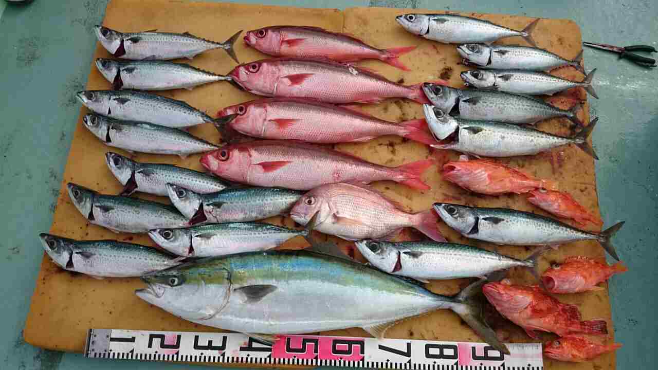 a0248152_18193489.jpg