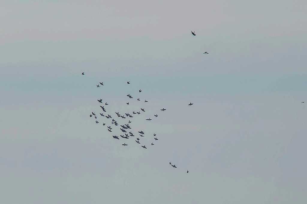 f0044056_08273805.jpg