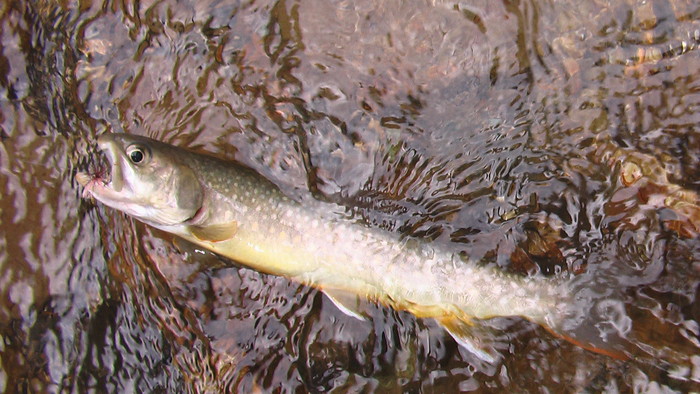 b0208961_15322077.jpg