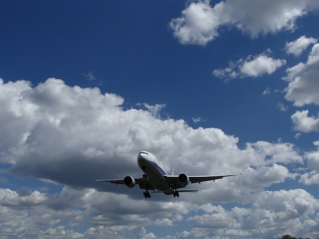 b0044663_12455557.jpg