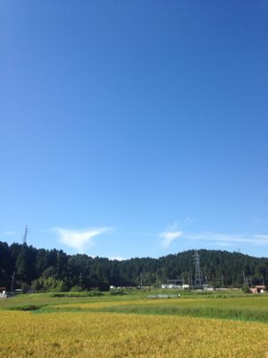 e0333569_034784.jpg