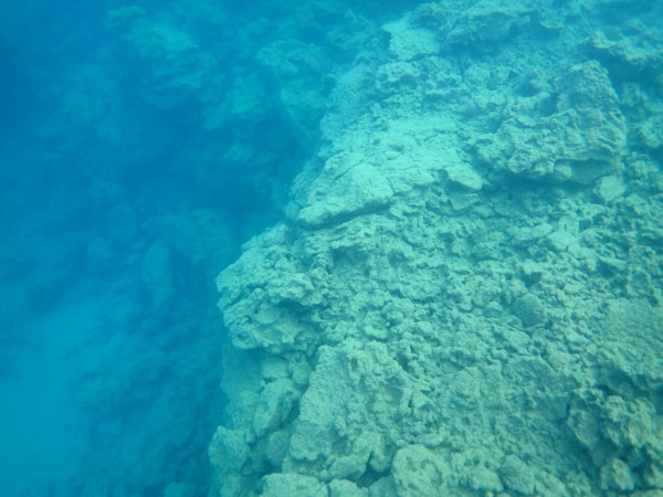 c0122670_21584049.jpg