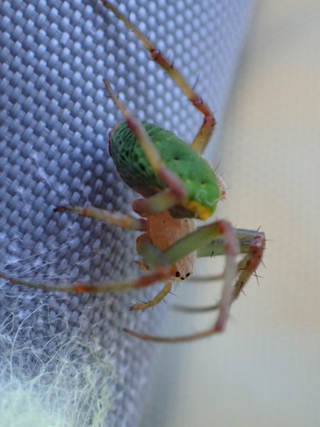 c0122670_22012851.jpg