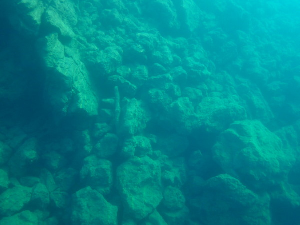 c0122670_22055420.jpg