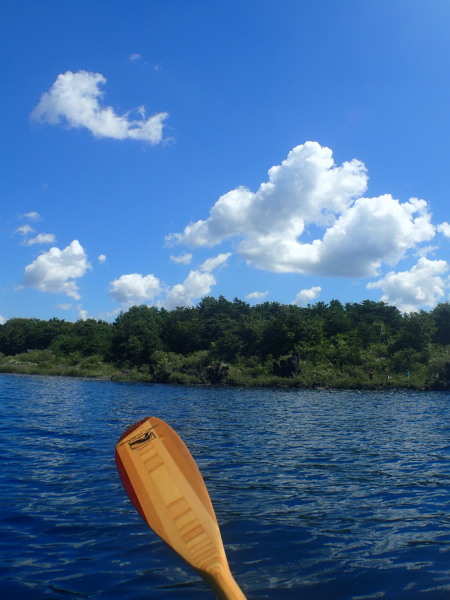 c0122670_22074130.jpg