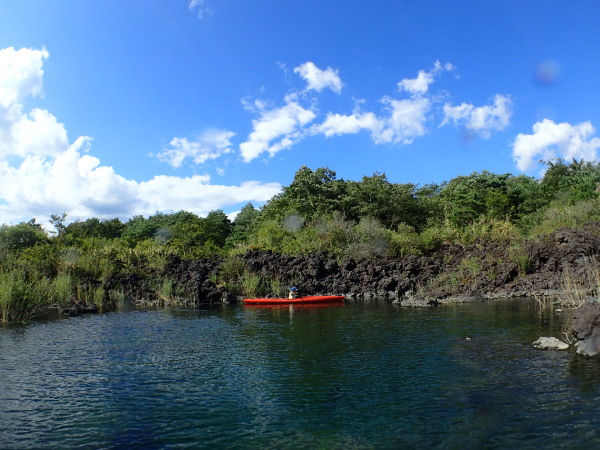 c0122670_22125675.jpg