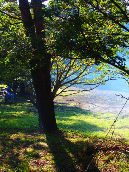 c0122670_22281510.jpg