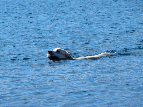 c0122670_22311063.jpg