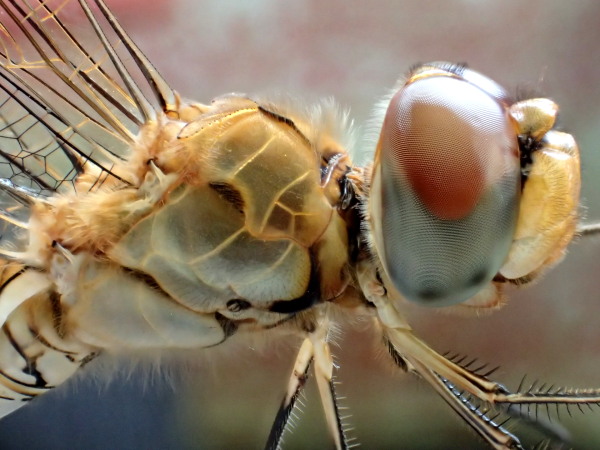 c0122670_22542154.jpg