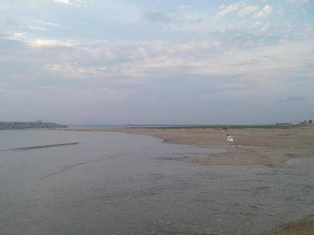 f0100871_21420978.jpg