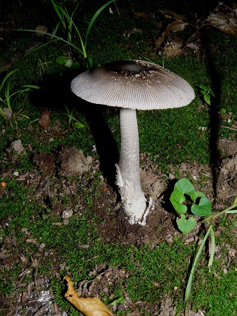 d0019074_17294277.jpg