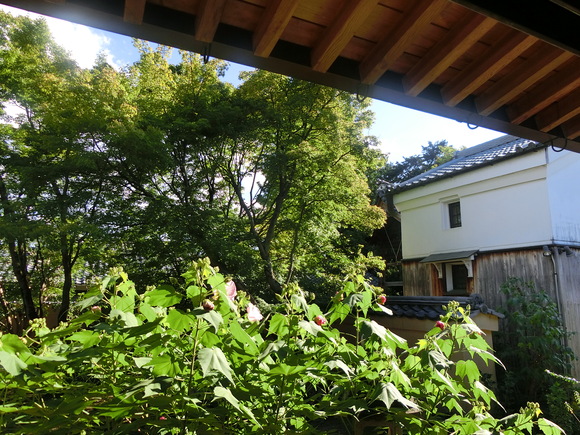 e0204576_11522759.jpg