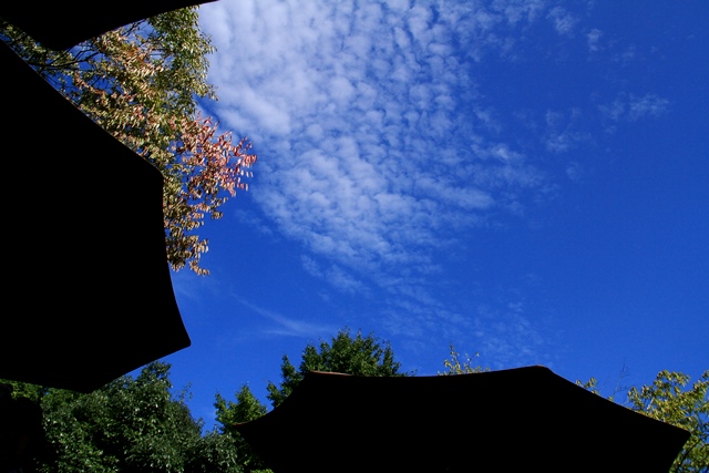 d0126577_130124.jpg