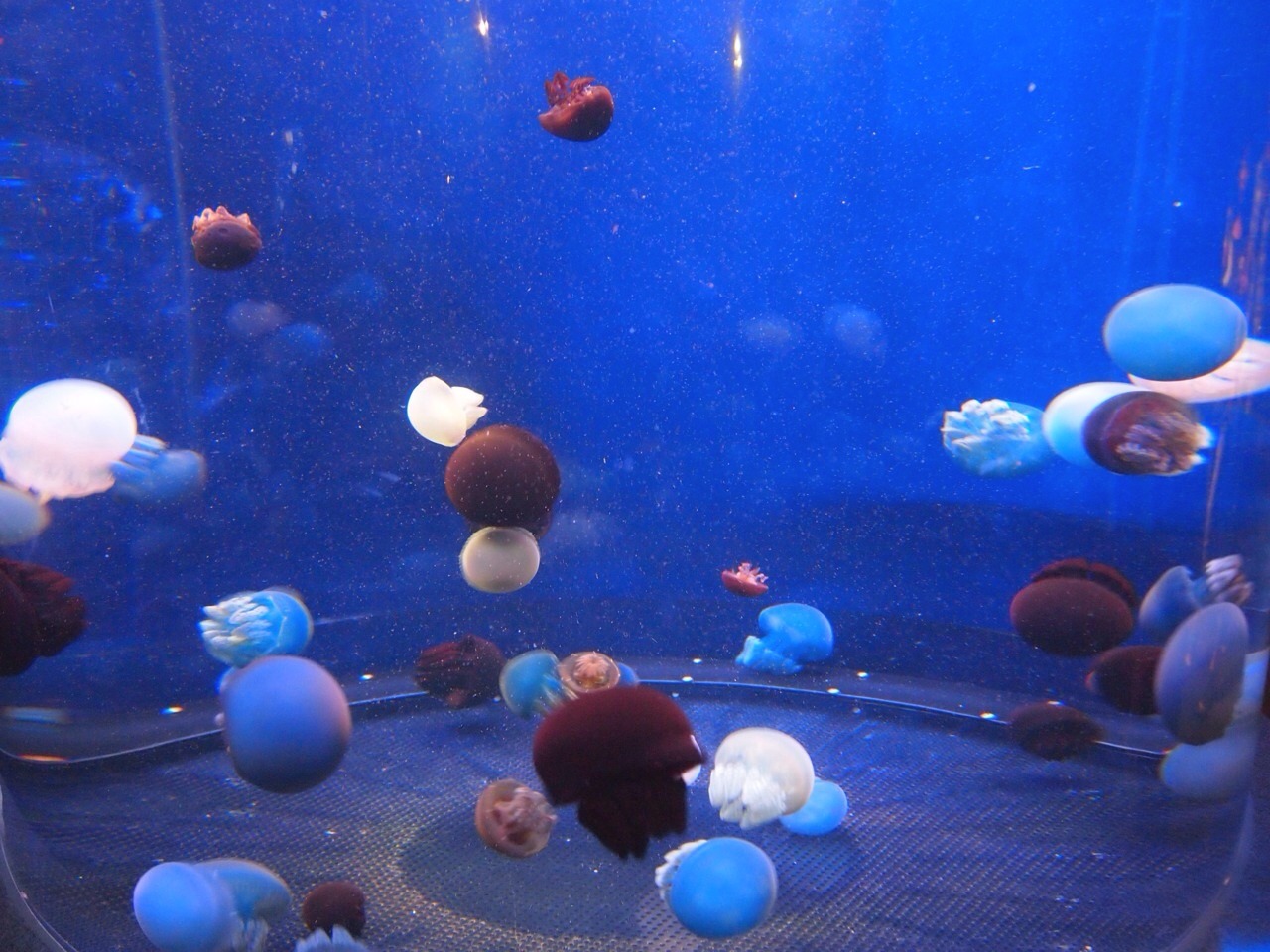 a0152078_12175038.jpg