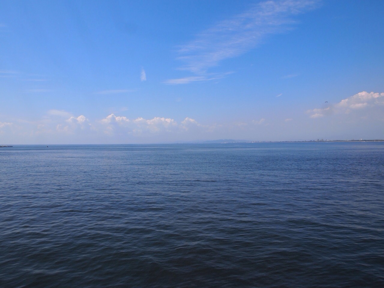 a0152078_1239275.jpg
