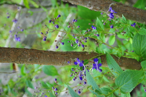f0319178_20070195.jpg