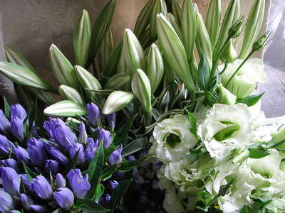 f0007380_16341240.jpg