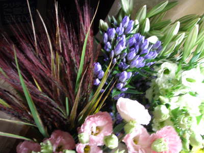f0007380_1634738.jpg