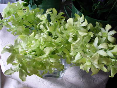 f0007380_1651413.jpg